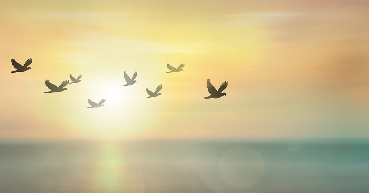 On this Strengthen Your Walk with Joh Avanzini discover the secret ingredient that will help us live in harmony with each other. Watch Day Eight "Being in Harmony" on Inspiration TV On Demand at bit.ly/3RdPCCG! #StrengthenYourWalk #SonshipoftheBeliever