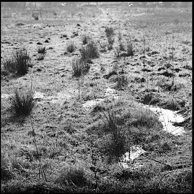 Discover Bridge of Allan (@discoverbofa) on Twitter photo The Stirling Photography Festival is taking place this month & next; and as part of this, environmental artist Scott Hunter is running a Darkroom Ecology session 18/9 at <a href="/StirUni/">University of Stirling</a> To find out more & book, visit buff.ly/3QFuiWZ
#whatsonstirling #bridgeofallan <a href="/StirlingPF/">Stirling Photography Festival</a> The Stirling Photography Festival is taking place this month & next; and as part of this, environmental artist Scott Hunter is running a Darkroom Ecology session 18/9 at <a href="/StirUni/">University of Stirling</a> To find out more & book, visit buff.ly/3QFuiWZ
#whatsonstirling #bridgeofallan <a href="/StirlingPF/">Stirling Photography Festival</a>