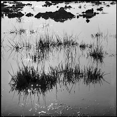 DiscoverBofA's tweet photo. The Stirling Photography Festival is taking place this month &amp; next; and as part of this, environmental artist Scott Hunter is running a Darkroom Ecology session 18/9 at @StirUni To find out more &amp; book, visit https://t.co/MIY6VOsPSr 
#whatsonstirling #bridgeofallan @StirlingPF https://t.co/tXVLSkZyya