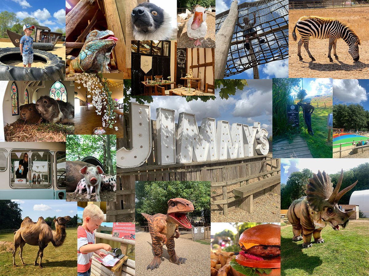 JimmysFarmHQ's tweet photo. Wow, what a Summer it's been!
We want to thank everyone who has joined us in this fun-filled packed summer on our 20th anniversary year🔆
Make sure you book your tickets and join us for the last of the 6 weeks holidays
🎟️https://t.co/it7AlZm6zF
#suffolkdaysout https://t.co/4GqADWiFwv