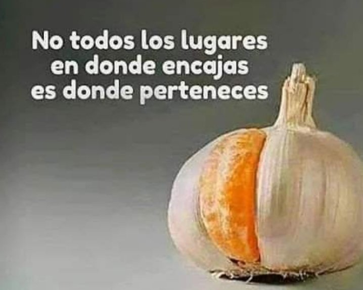 MilyHalup's tweet photo. Buen dia!!! A disfrutar!!!! https://t.co/a7GI47MmKa