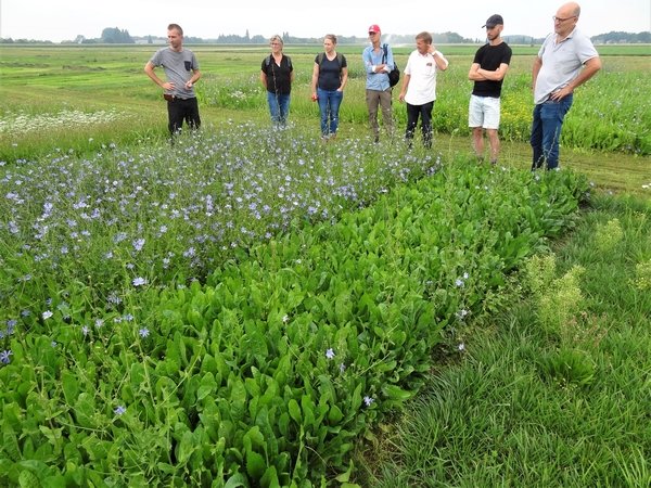 Meer kruiden, minder #stikstof. 
In de stikstofcrisis lijkt het boerenbelang tegenover de natuur te staan. #Kruidenrijk grasland kan een brugpeiler zijn om die kloof te overbruggen.
Lees meer: vianatura.nl/biodiversiteit…
<a href="/provgelderland/">Provincie Gelderland</a>
@LouisBolk <a href="/DeltaplanBio/">Deltaplan Biodiversiteitsherstel</a> <a href="/ZLTORvNijmegen/">ZLTO RijkvanNijmegen</a>