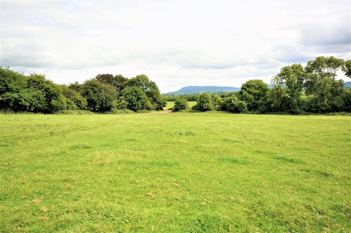 NEW TO THE MARKET a charming period house with c.102 acres located in the heart of The Golden Vale townshends.ie/residential/br…