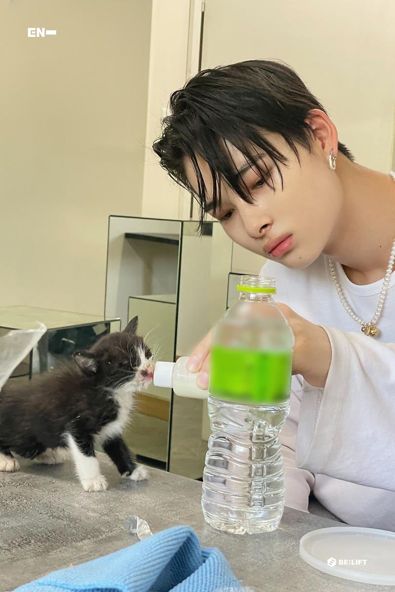 luvhnki's tweet photo. i’m melting https://t.co/sW46iI6gk3