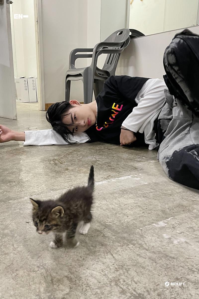 luvhnki's tweet photo. i’m melting https://t.co/sW46iI6gk3