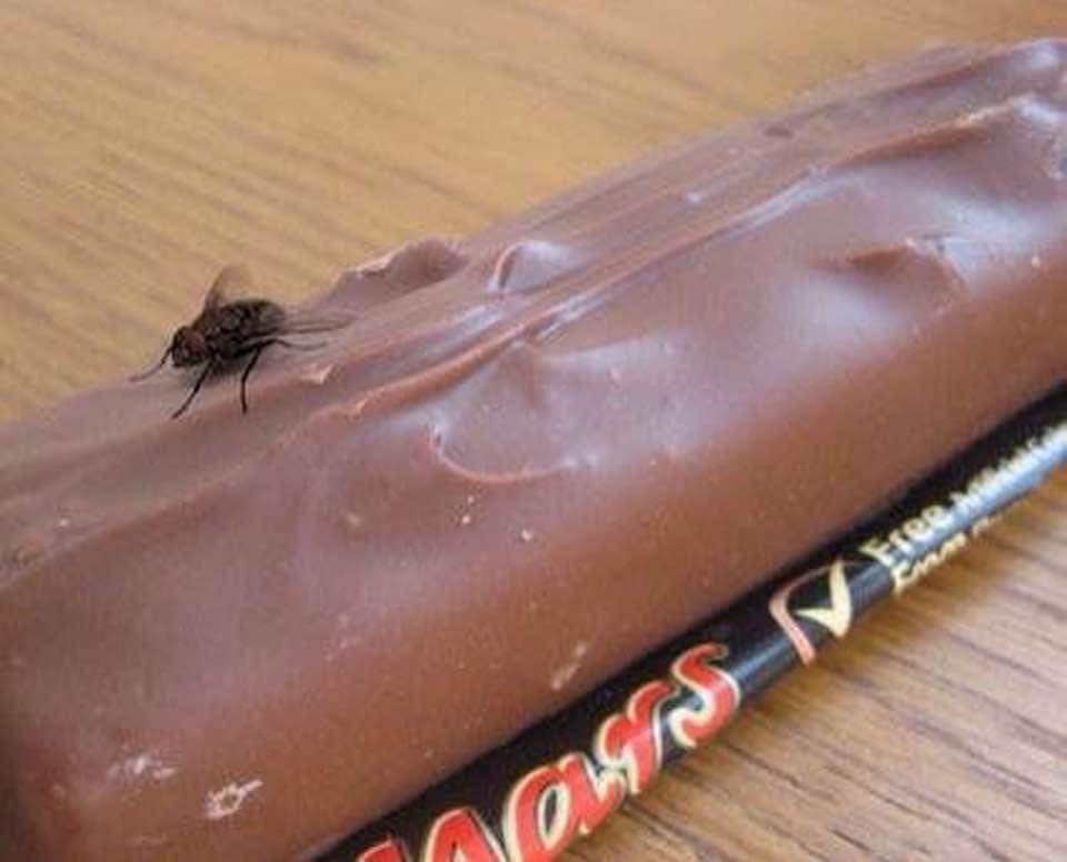 Oxallys's tweet photo. La preuve qu'il y a de la vie sur Mars....😄#Mars https://t.co/YPcvQRt92n