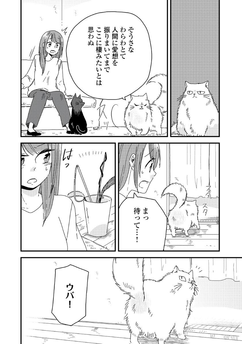 ボロボロの猫を拾ったと思ったら神様だった話。(8/11) 
#PR 
