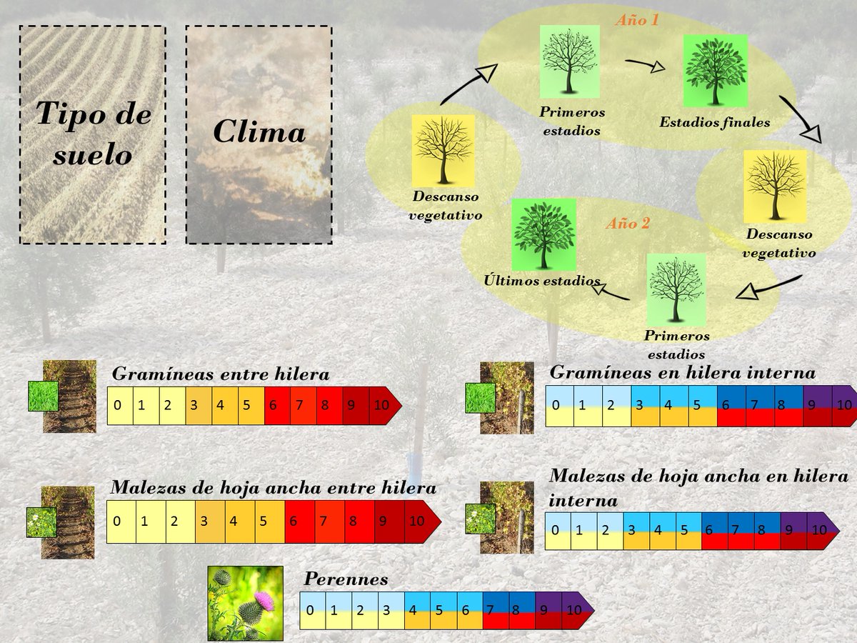 IWMPRAISE_Spain's tweet photo. Ya está disponible la versión en castellano del juego IWMGAME sobre control integrado de malas hierbas en cultivos leñosos perennes. Diseñado y elaborado por @IWMPRAISE_Fr. Puedes encontrarlo a través de este link: https://t.co/9dpFPdJqGl https://t.co/dJ61qWt3AE