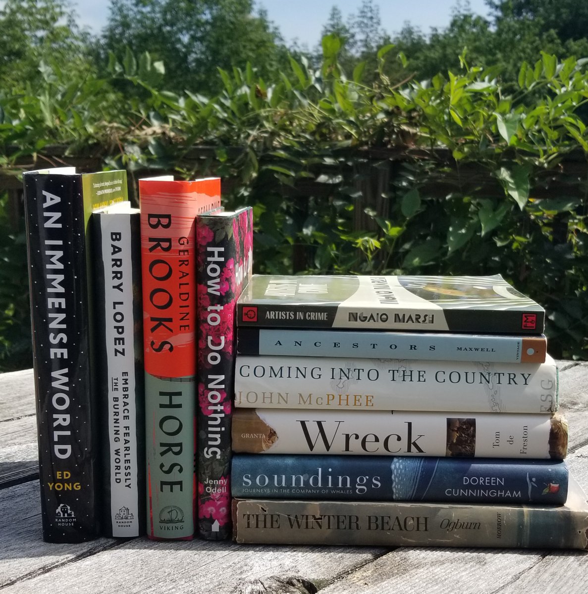 LiteraryNorth's tweet photo. Before we sign off tomorrow, we wanted to share our TBR piles! R on the left and S on the right. So many books to read, plus new fall titles arriving soon. We'd love to hear what you are currently reading. https://t.co/Prrsx3bJ95