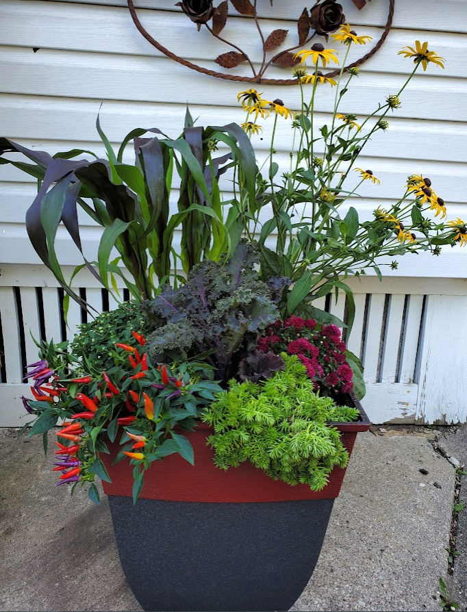 GardenBite's tweet photo. Putting together Fall annual containers! This is so fun for me. I created 2 for this post. Take a look and get some ideas, learn about annual and fall mums. #gardening #fallplanters #plantsmakemehappy
https://t.co/kJL6vzyLgW https://t.co/22LW6mFfsp