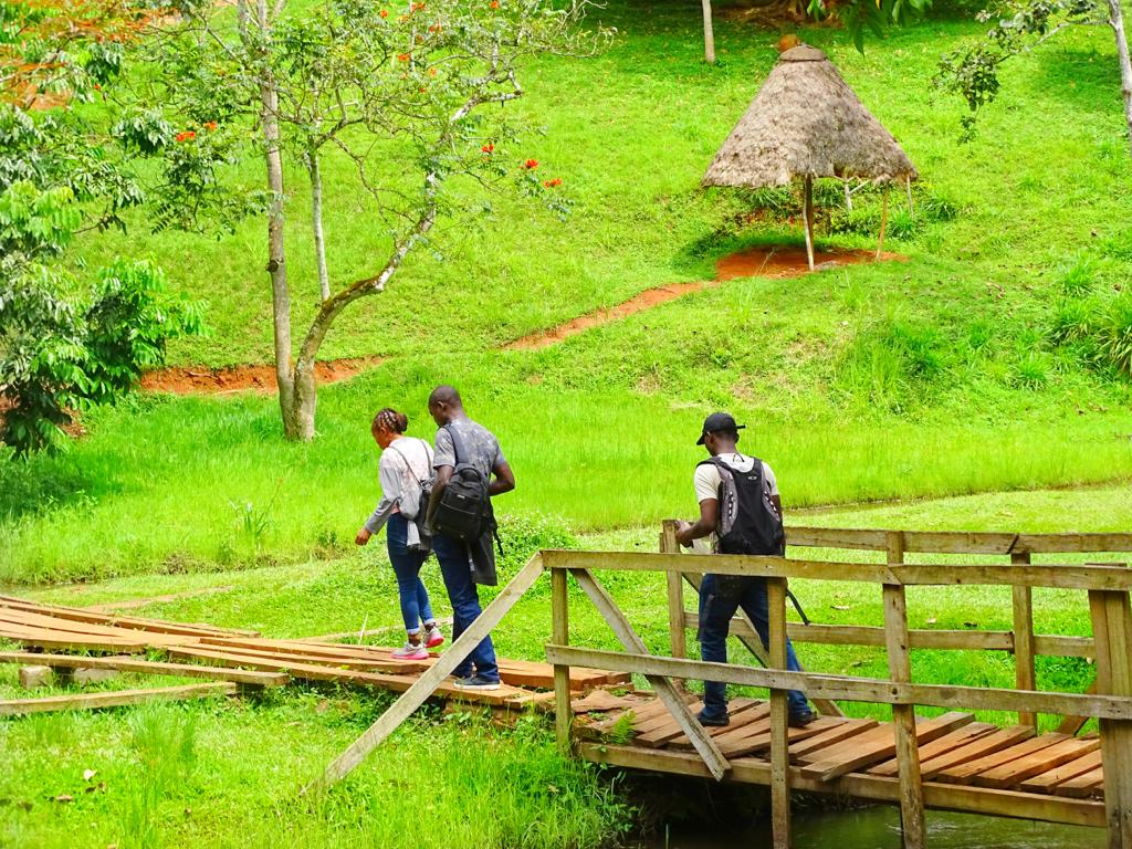 hikes_adventure's tweet image. we aimed to promote the well-being of #changemakers from #boschalumninetwork &amp;amp;@cmxchange members , &amp;amp; provide opportunities for social gatherings, mutual engagements, &amp;amp; connections with nature.

2/3