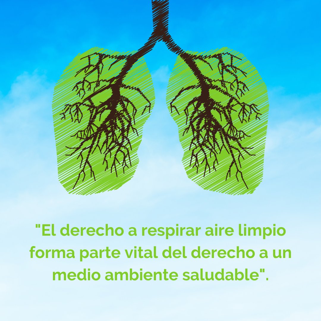 “Y el derecho a respirar aire limpio forma parte vital del derecho a un medio ambiente saludable”. 🌬️

Hace 1 mes, la @onu_es reconoció el #DerechoHumano a un #MedioAmbiente saludable, esto ayudará a la ciudadanía a luchar por ello. #ActúaAhora ⤵️
unep.org/interactives/t…