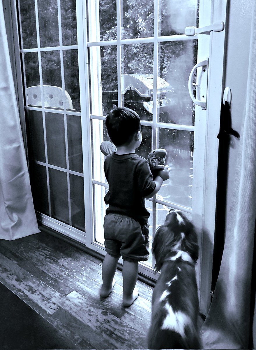 Pater_Casey's tweet photo. 2 year old outdoorsman wailing and gnashing, furious that I will not outfit him with crocs to play outside in severe thunderstorm.

Also pictured: 20yr old me, sure that God has arbitrarily decided to erect barriers between me and sin, likely only for spite... https://t.co/Jtki4pDydV