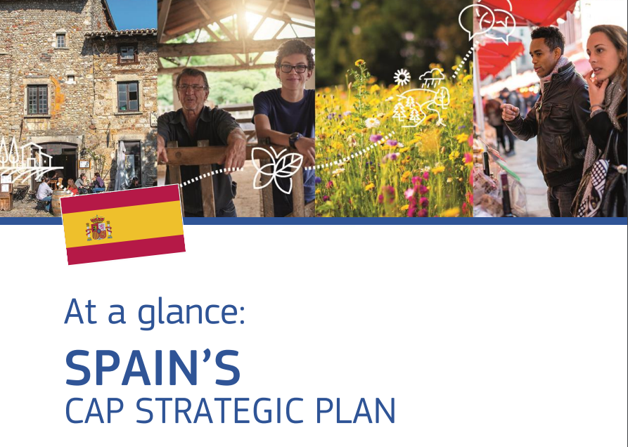 🇪🇸 Resumen del plan estratégico de la PAC de España
→ europa.eu/!rhyBqC

La nueva PAC facilitará la transición hacia un sector agrícola europeo más sostenible, resiliente y moderno. #NewCAP