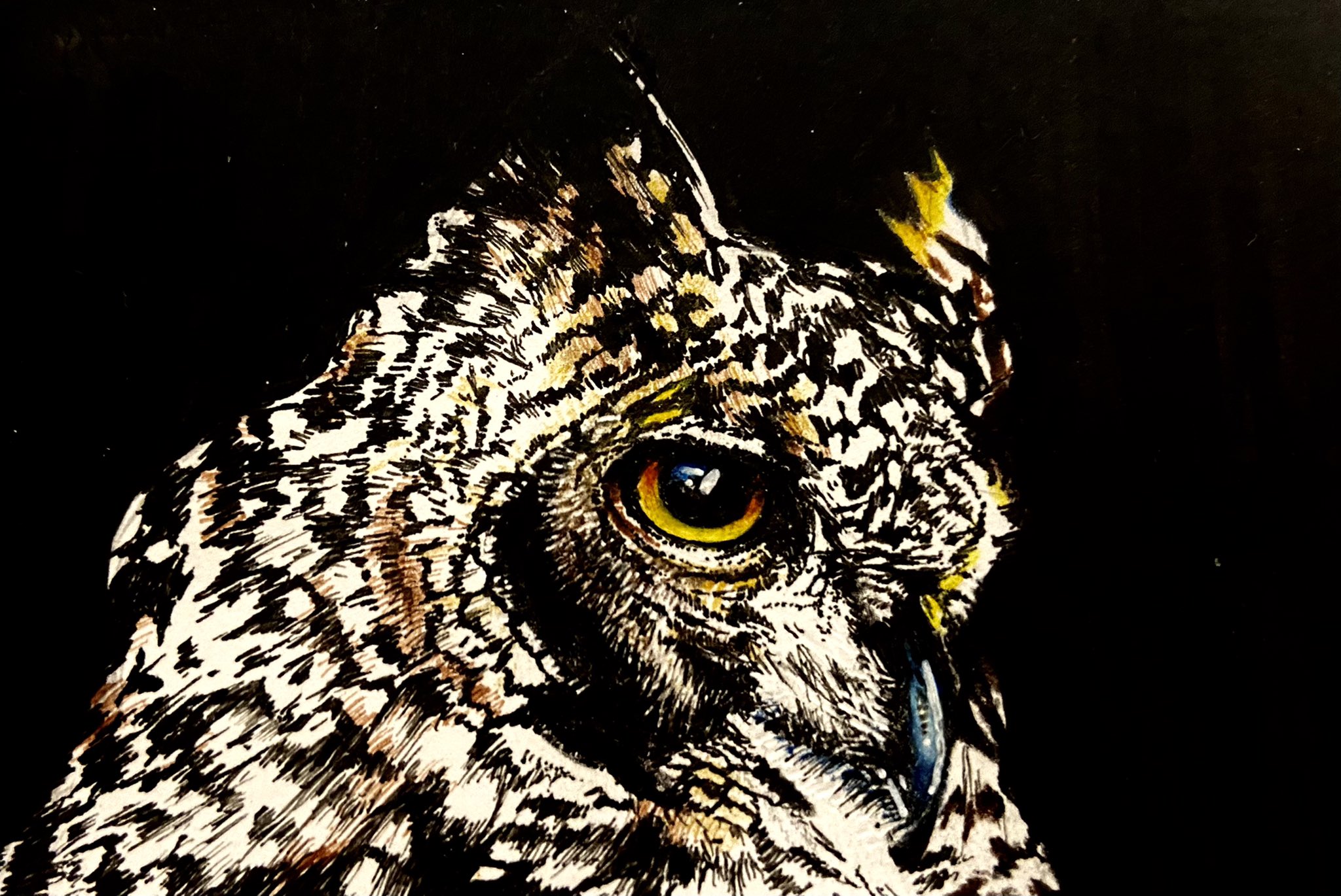 Jam マイクラ 猫 アカ 素敵な写真を見たので その写真をもとに描いてみたフクロウさん O フクロウかっこいい イラスト イラスト好きな人と繋がりたい T Co Ixmjxaioul Twitter