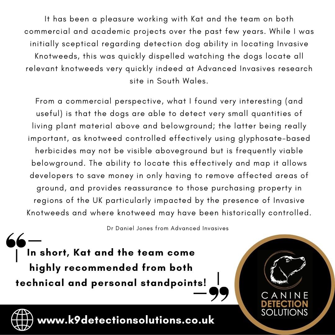 Canine Detection Solutions tweet media