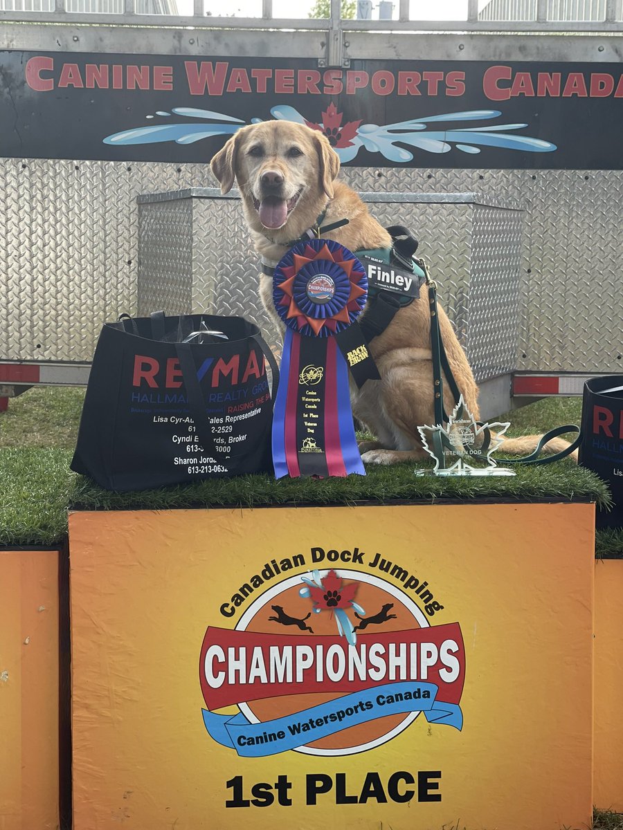 tclarey_CDSBEO's tweet photo. Canadian Champion - Veteran Division (8 yrs old or older) and Top Senior Event Canadian Champion. #oldladydog #stilljumping #finley https://t.co/01CkIGZy5X