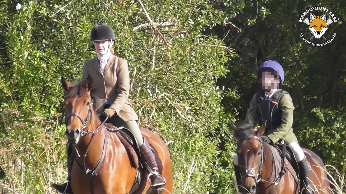 Mendip Hunt Sabs tweet media