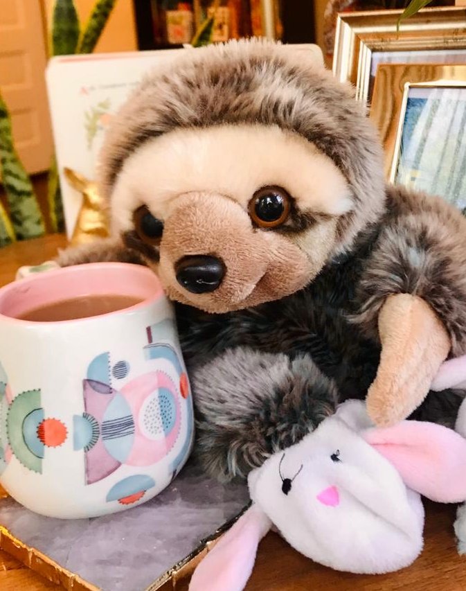 Why are sloths wearing backpacks? 🎒

This article on the Sloth Conservation Foundation comes heavily recommended from our in-house Editor (&amp; part time sloth puppet), Dr. Slomann.

🔗nature.com/articles/d4158…

<a href="/beckycliffe06/">Dr. Rebecca Cliffe</a> <a href="/SlothCon/">The Sloth Conservation Foundation</a> <a href="/Nature/">nature</a>