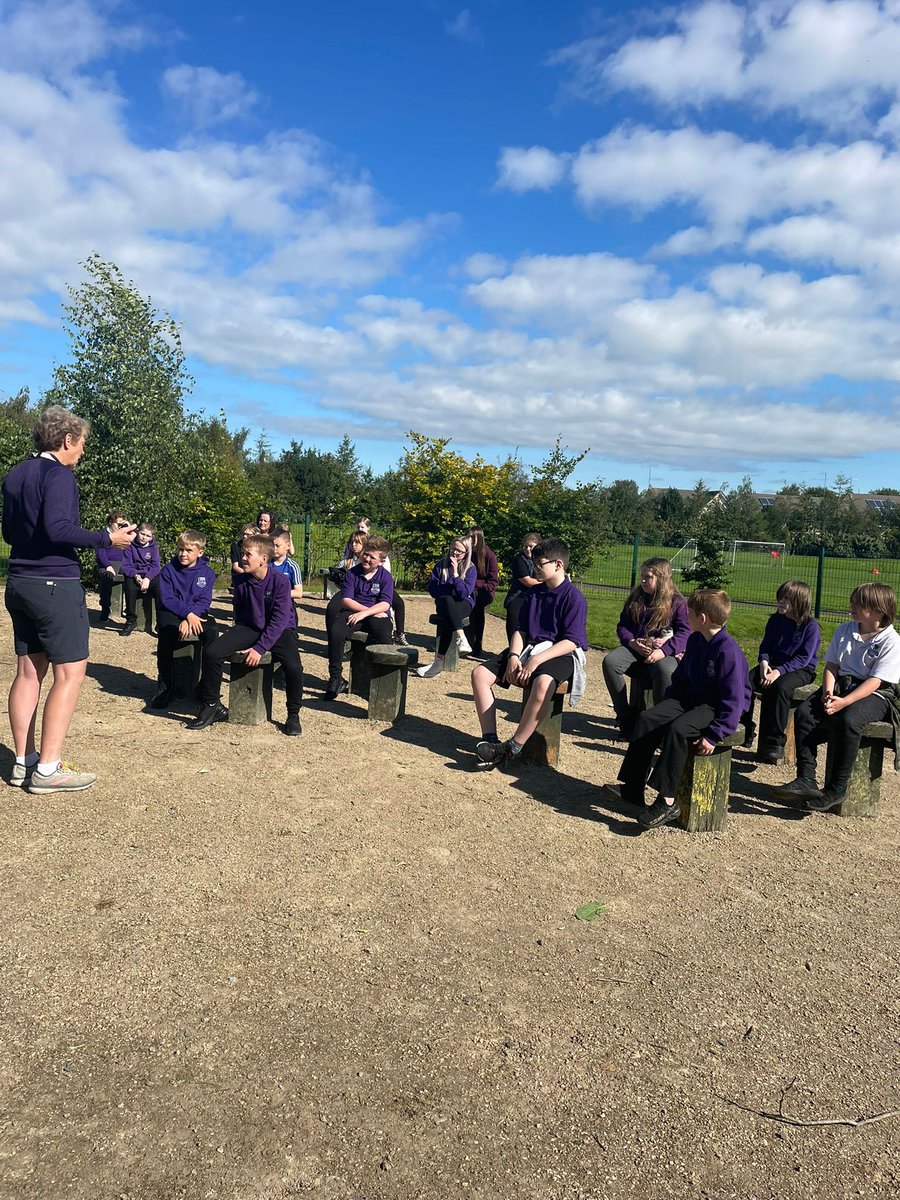 Shortlees Primary tweet media