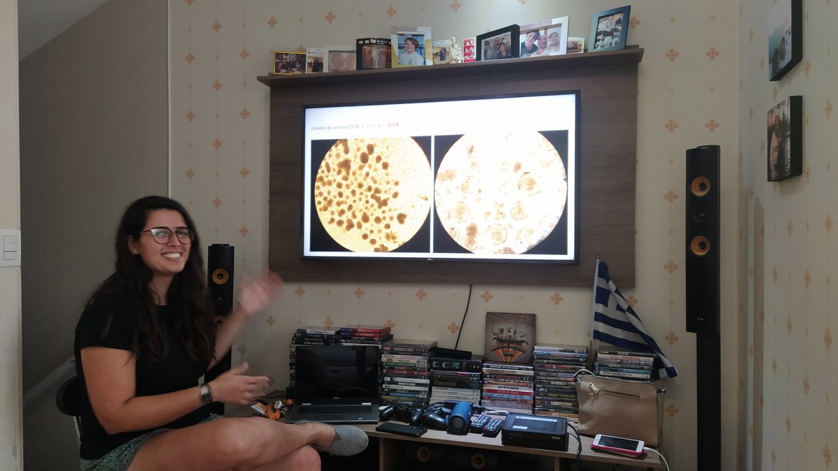 Neuroimmune Interactions Laboratory @UMASS tweet media