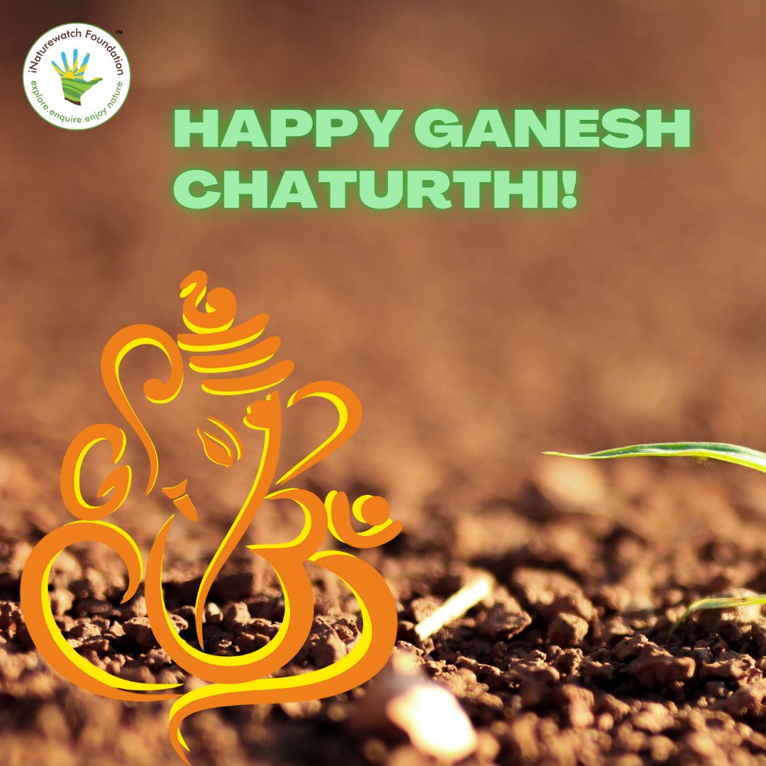 Team iNaturewatch wishes you a very happy Ganesh Chaturthi! 
 #inaturewatchfoundation #ganeshfestival #ecofriendlyliving #GaneshaIdol #ganeshotsav #ganesh #ganeshafestival #ecofriendlyhome #ecofriendlycelebration #GaneshaChaturthi #ganeshutsav #lordganesha #ganesha #ecofriendly