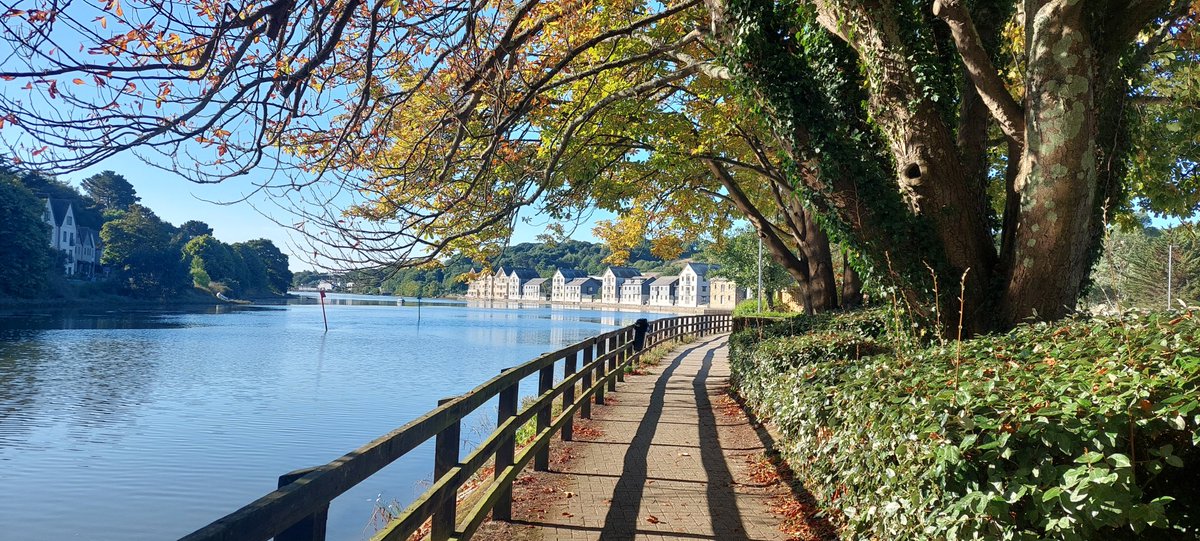 iSightCornwall's tweet photo. Happy September! It's another lovely day at the Sight Centre here at @newham_truro! #September_1 https://t.co/0ECJtwUleM