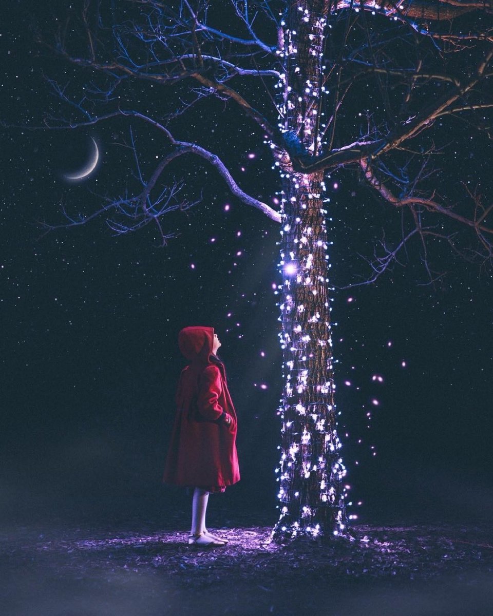 Ellie22446688's tweet photo. “Dreams do come true,
if only we wish hard enough.”

(Peter Pan - J M Barrie) https://t.co/FX9GdzaUeR