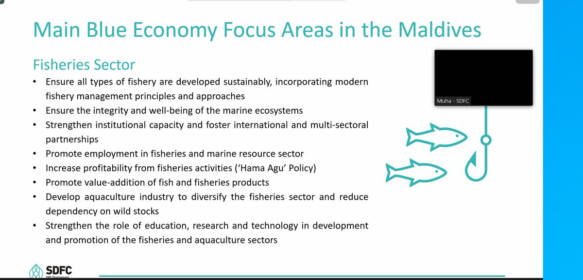 UNDPMaldives's tweet photo. .@UNDPMaldives w/ @UNDPasiapac &amp; @CFN_UNDP conducted a webinar on Financing Blue SMEs, with sessions by @SDFC_mv on overview of the Blue Economy; @oceanassets1 on Investment in Sustainable Blue SMEs in AP region &amp; @horizon_pvt on the challenges faced as an SME in the sector. https://t.co/kRVs2mKYje