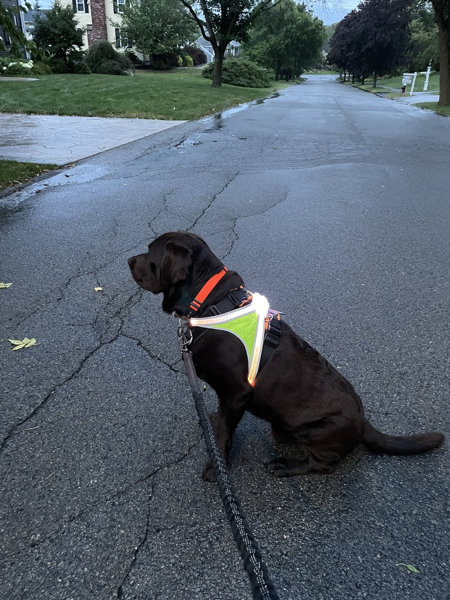 codyjakegolden's tweet photo. @mochaladocha @noxgear when it’s dark and stormy out I #staysafe with my #noxgear #UBB https://t.co/EguQpdHcwD