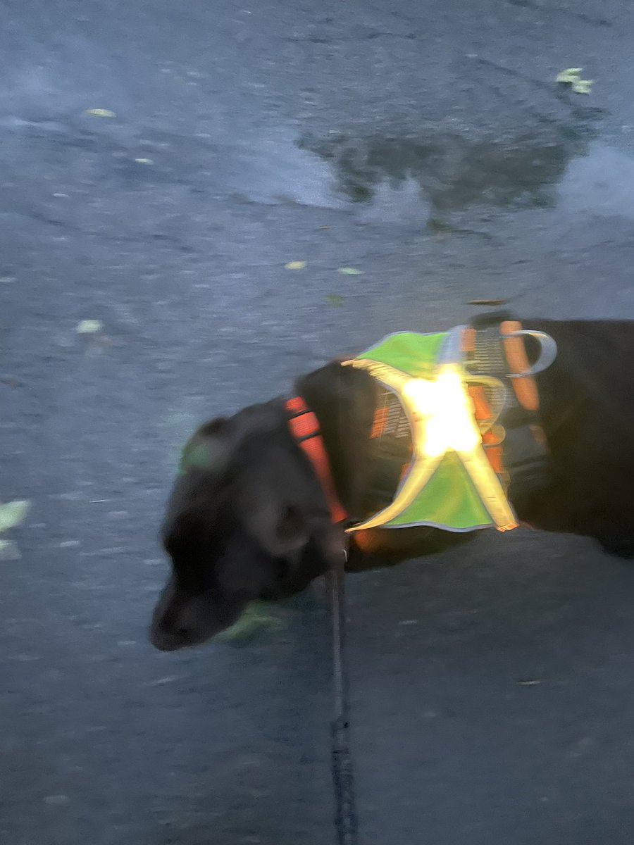 codyjakegolden's tweet photo. @mochaladocha @noxgear when it’s dark and stormy out I #staysafe with my #noxgear #UBB https://t.co/EguQpdHcwD