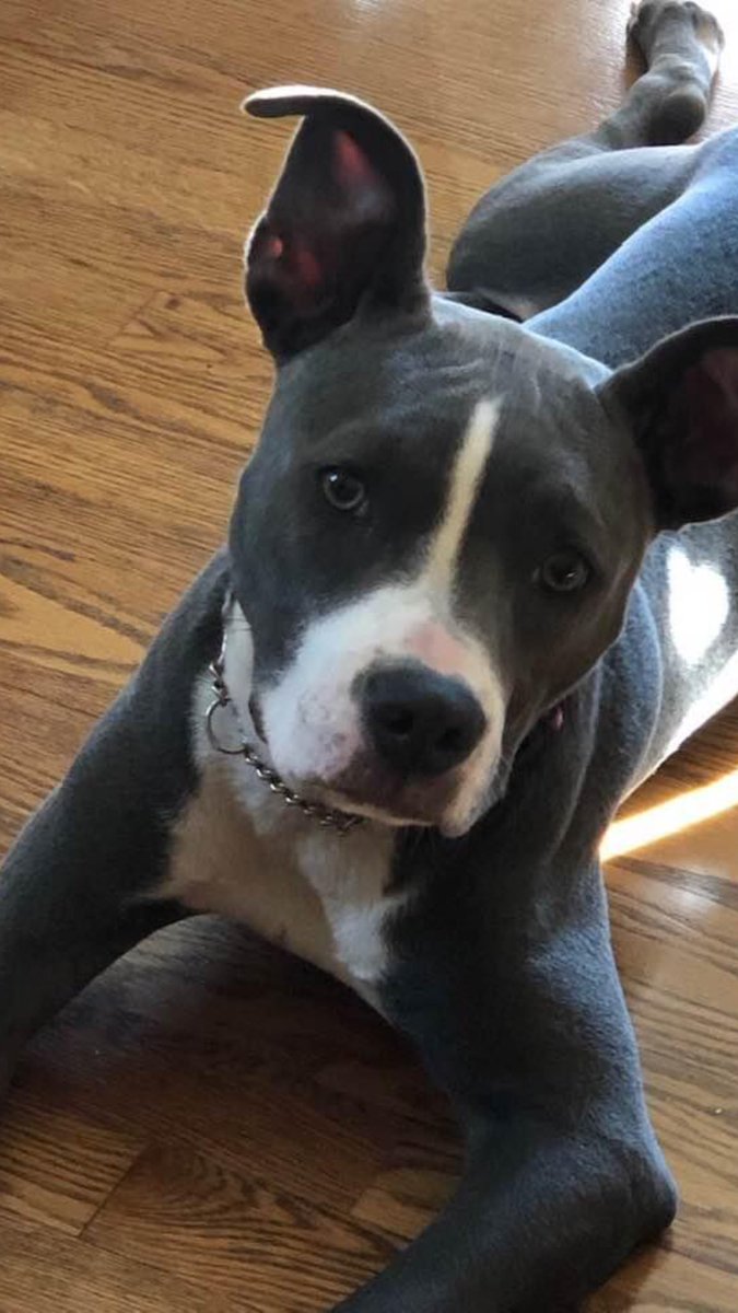 Elizabeth Mulkey tweet media