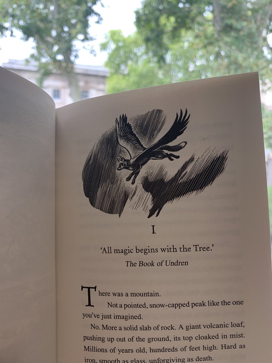 LeahThaxton's tweet photo. We publish this rustling beauty tomorrow, and I don’t know what to admire first. With artwork by Chris Wormell, a cover by Fernando Lopez Juarez, and a story to make your heart burst, @kmlarwood has done it again. Publishes 1st September @FaberChildrens @FaberBooks https://t.co/p13ED97STI