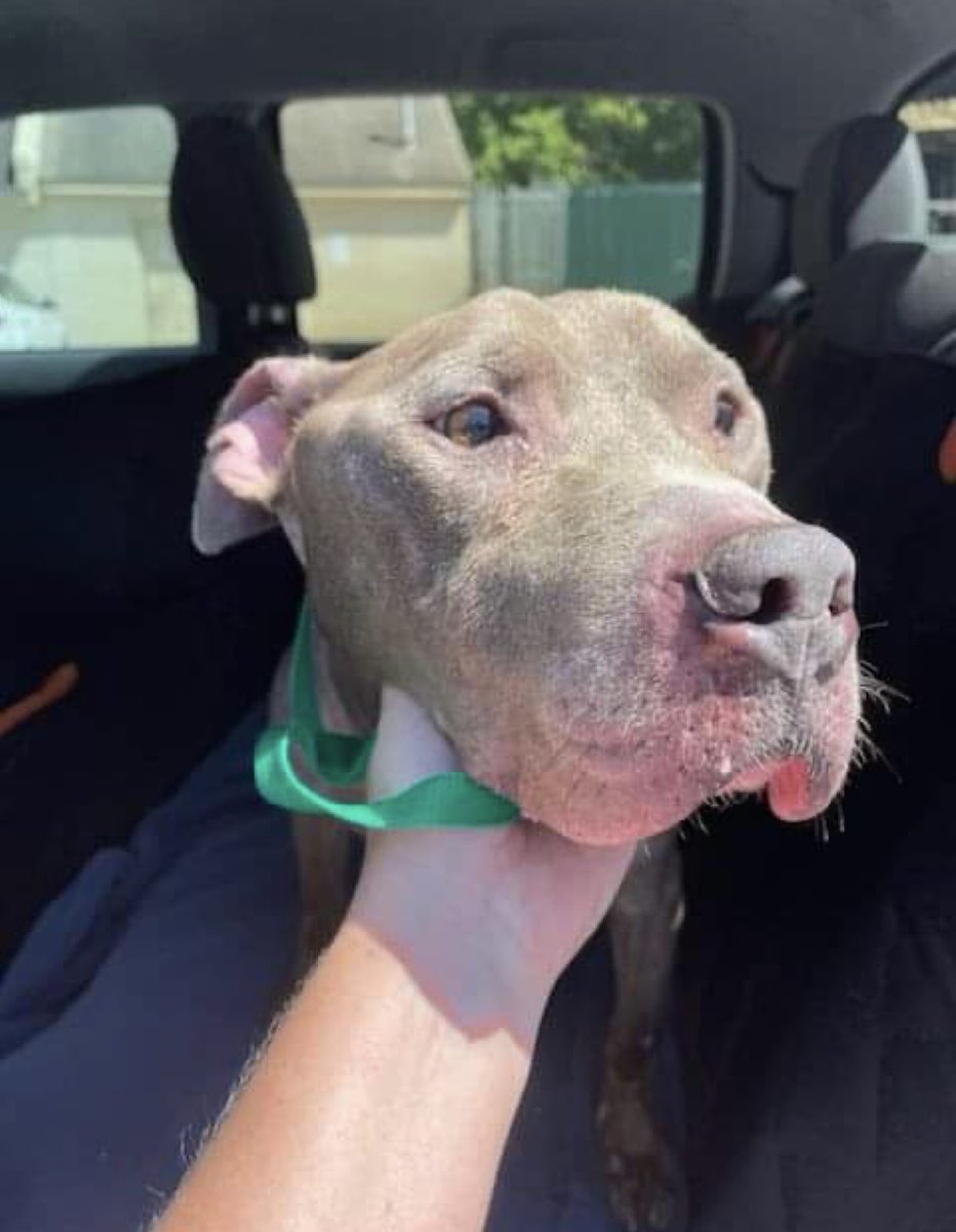 Marcus Miller (MFM) on Twitter "RT reddogsusie CHANCE IS SAFE ️🎉