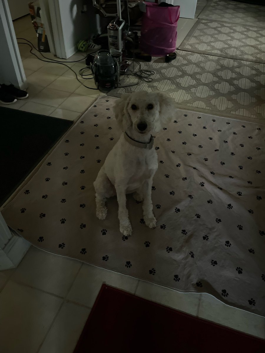 beemuncher's tweet photo. she looks so evil https://t.co/7fVJw4UBWK