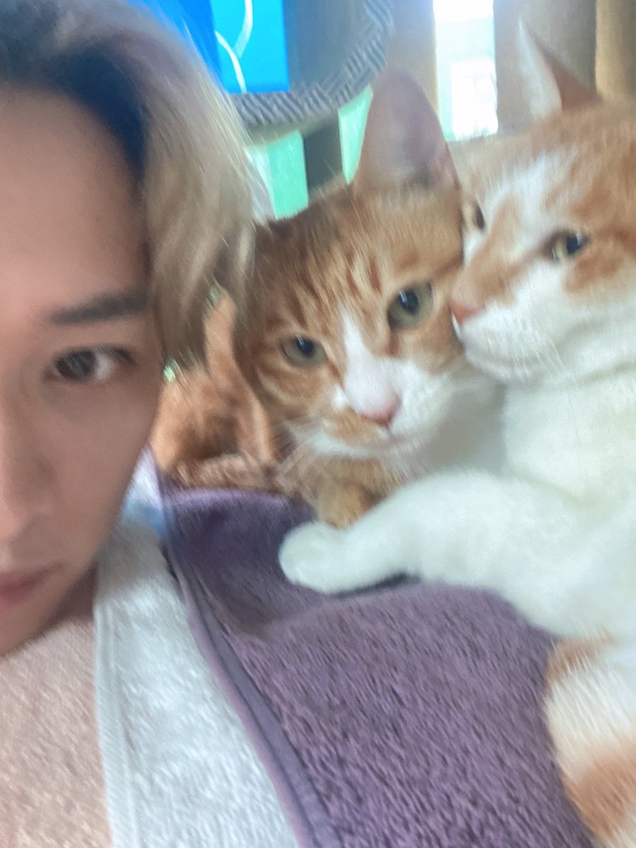 di pa nadating ibang pets ko, sino may gustong dumagdag?