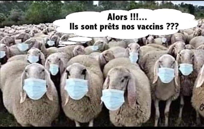 EddyBurier's tweet photo. Rentrée de septembre  ...

Impatience contenue mais ô combien fébrile  ...🙄🙄 https://t.co/pL1EfOAtJb