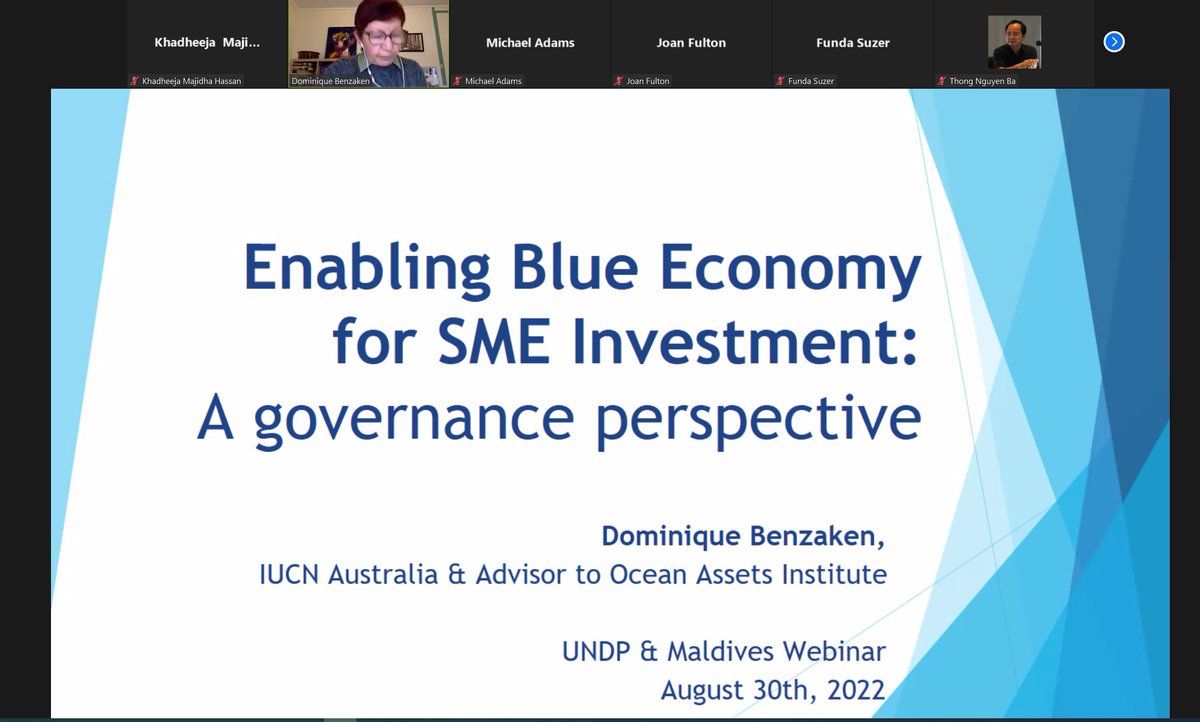 .<a href="/UNDPMaldives/">UNDP Maldives</a> w/ <a href="/UNDPasiapac/">UNDP in Asia and the Pacific</a> &amp; <a href="/CFN_UNDP/">Climate Finance Network</a> conducted a webinar on Financing Blue SMEs, with sessions by @SDFC_mv on overview of the Blue Economy; <a href="/oceanassets1/">Ocean Assets</a> on Investment in Sustainable Blue SMEs in AP region &amp; <a href="/horizon_pvt/">Horizon fisheries pvt. ltd.</a> on the challenges faced as an SME in the sector.