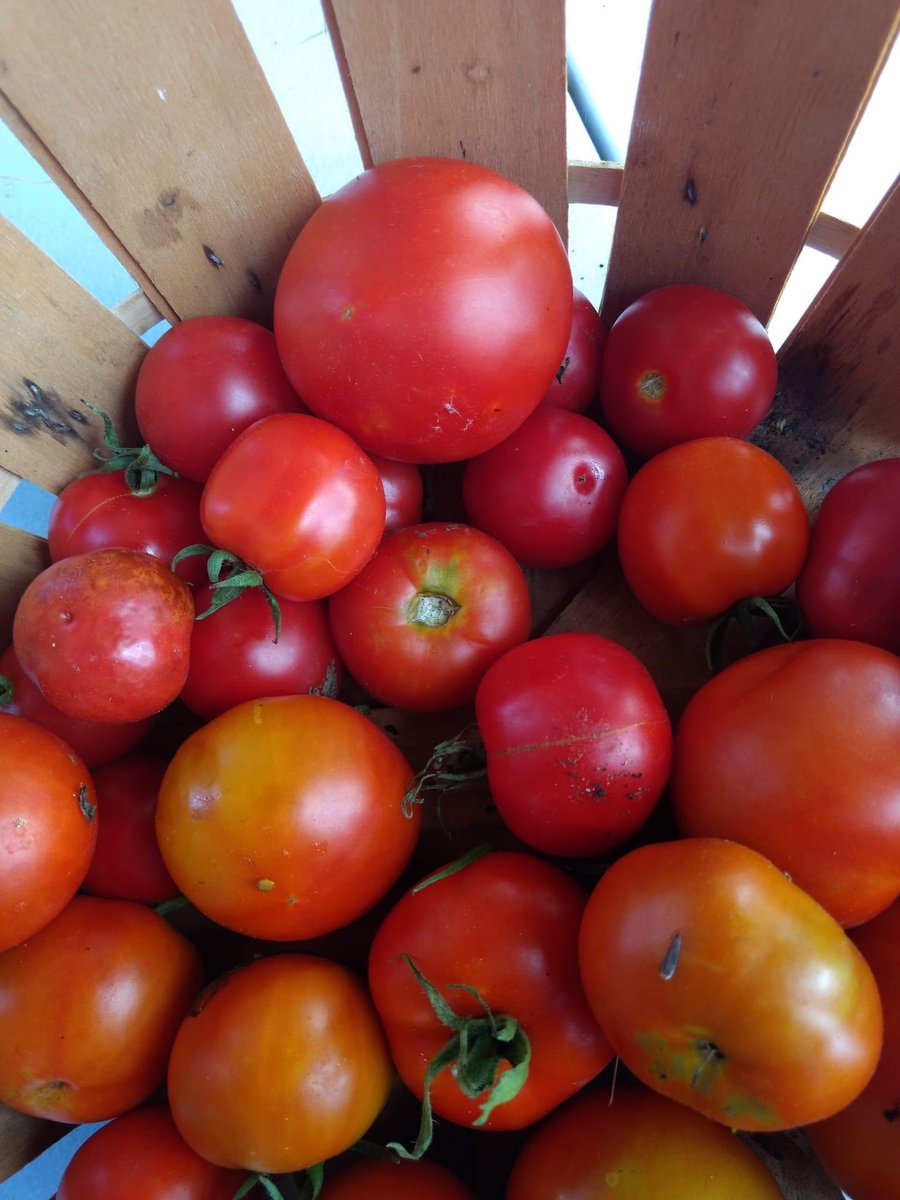 dfleming16's tweet photo. Nassau’s small farms are critical to preserving open space in our community and in Rensselaer County. Community character matters. Local food matters. https://t.co/7zJGuFL640
