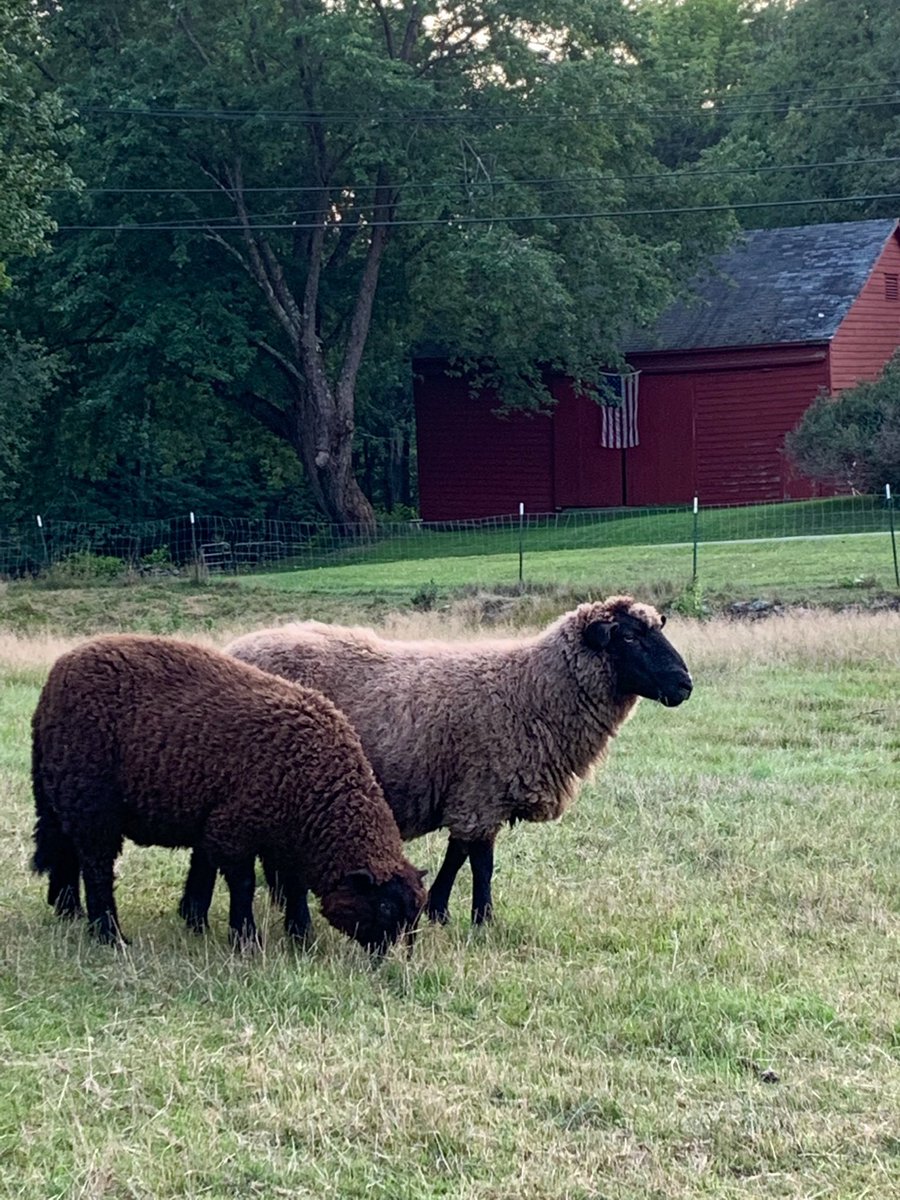 dfleming16's tweet photo. Nassau’s small farms are critical to preserving open space in our community and in Rensselaer County. Community character matters. Local food matters. https://t.co/7zJGuFL640