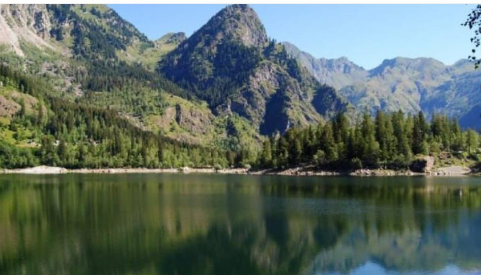 Elezioni, 6 punti per le #areeprotette  Federparchi scrive ai partiti per la tutela della #biodiversita’ e lo #svilupposostenibile  bit.ly/3AWgthn