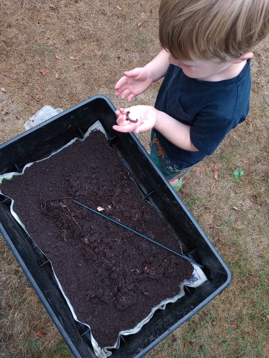 suffolkrecycle's tweet photo. Who doesn't love worms?! Home composting is a great way to use up all your fruit and veg peelings to make moisture-rich nutrients for your garden.
It's fun and educational for all the family too!
Why not give it a go? #GetComposting
https://t.co/yQmHfrQKoo https://t.co/me0mxTb8KT