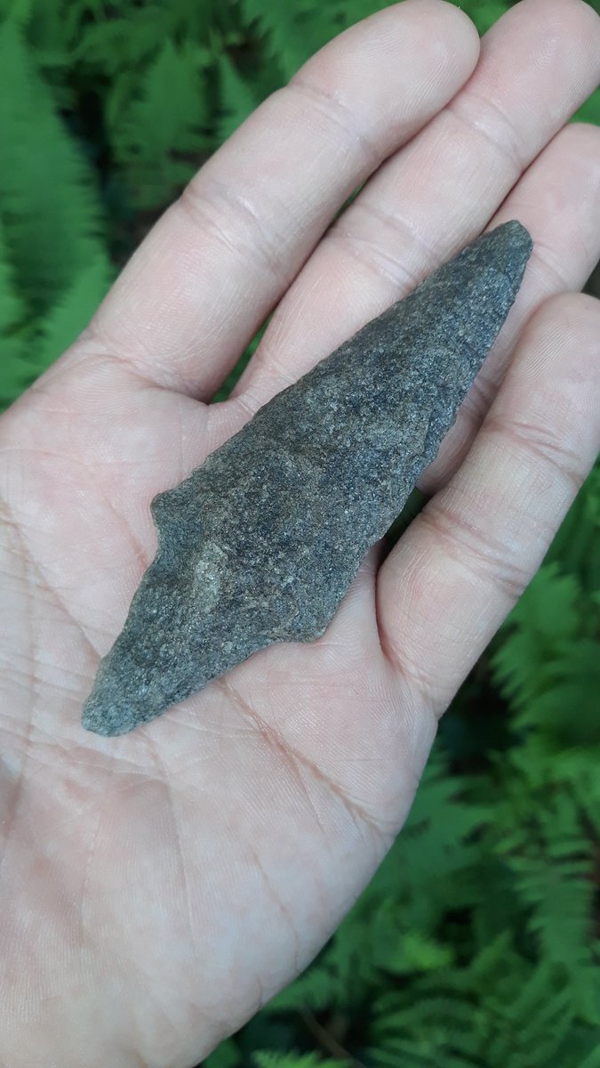 An Ancient Poplar Island Point from Pennsylvania
#arrowhead #history #Pennsylvania #archaic #native #popular #trending #cool #schuylkill