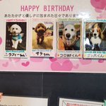 ツイートに含まれる画像