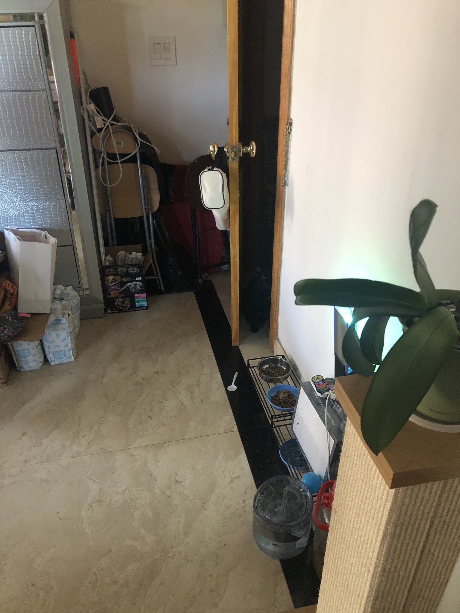 FbfM2MAXEAEjnTD?format=jpg&name=large