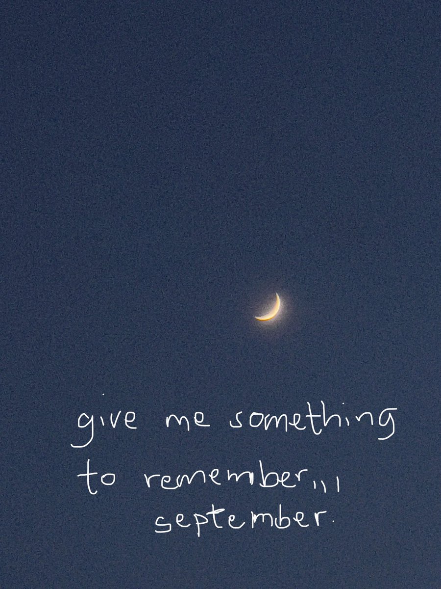 T O L 💛 tweet media