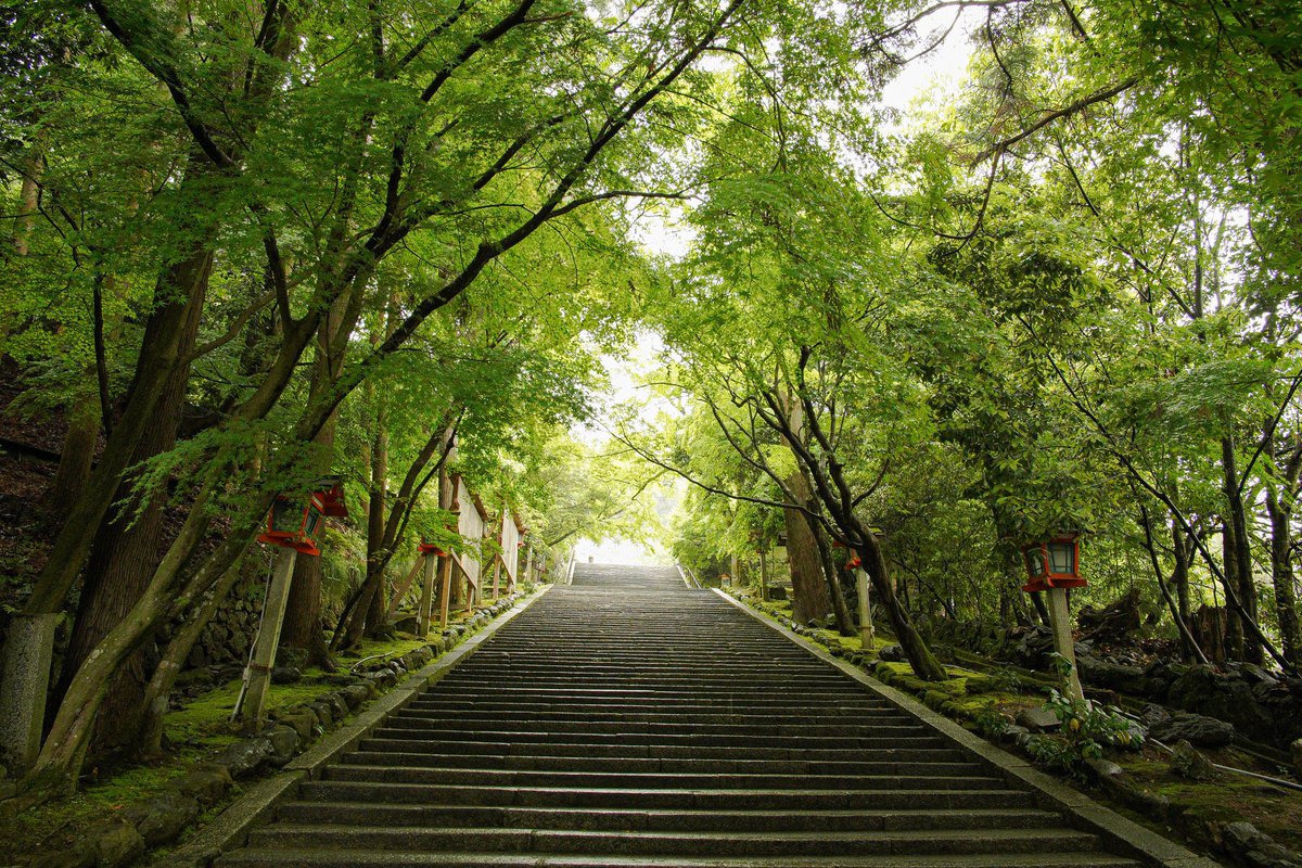 nononononozomin's tweet photo. 【お知らせ】
いのうえのぞみ のKIPONレンズでスナップ~京都「嵐山」編が公開されました‼︎
母、憧れの宿へ✨😉
https://t.co/ZZzP381Tce
#KIPON #キポン #イベリット #IBERIT #単焦点レンズ #清水寺 #京都 #KIPONPLAZA #新東京物産 https://t.co/HKrXBcktfs