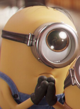 kjchigu's tweet photo. 映画観てからというもの、お願い！のポーズがマイブームに。
 #ミニオンチャンス https://t.co/p0VIY7uvdB