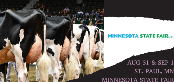 Cowsmo is ringside at the Minnesota State Fair! - mailchi.mp/bab803a352f0/n…
