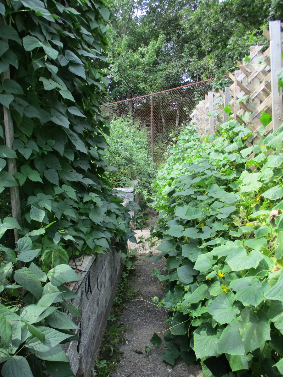 TakeActionGroup's tweet image. A HUGE THANKS to @welldartmouth, @john_high, and @HarbourViewElem for a VERY Successful Season thus far! :)